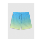Swim Shorts