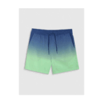 Swim Shorts